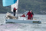 tallulah gbr7023n ss19 fri gjmc2000w